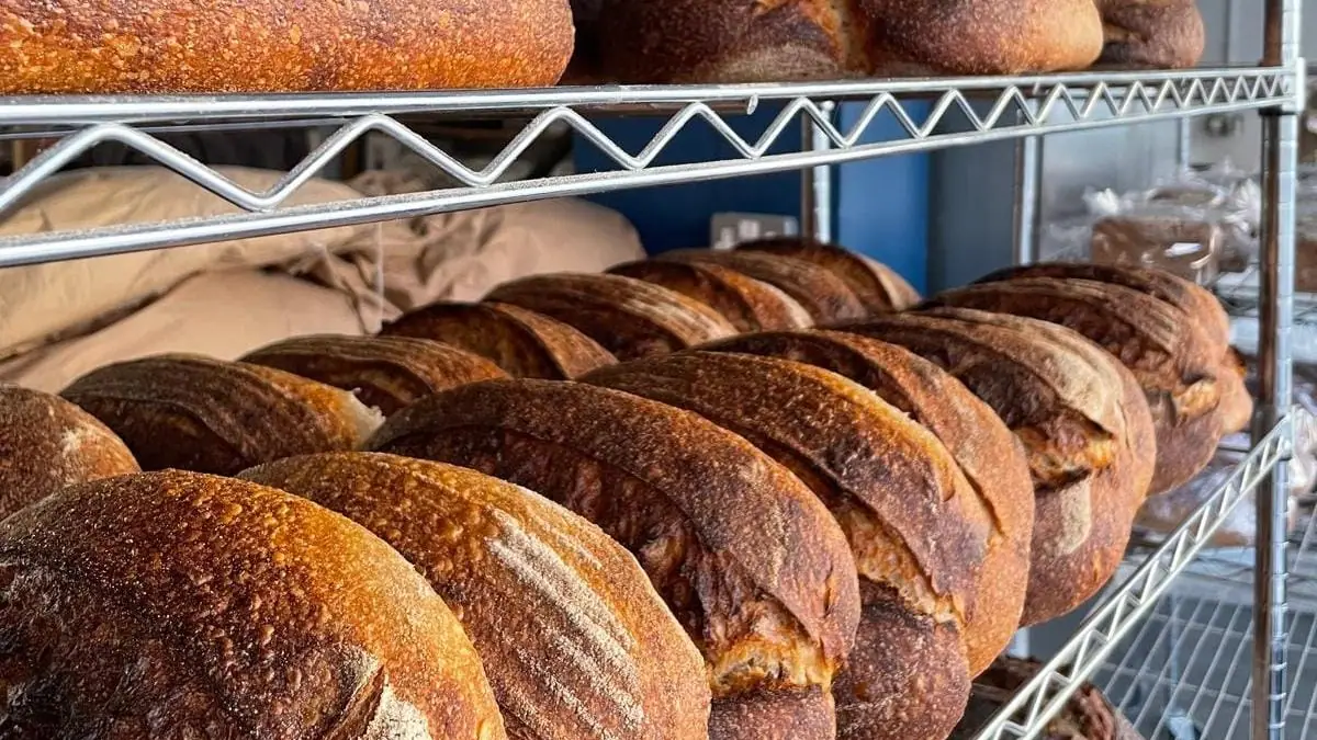 Sidwell Street Bakehouse – artisan bakery in Exeter town centre